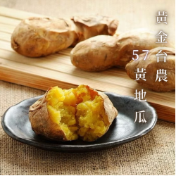 黃金台農57黃地瓜【1KG】